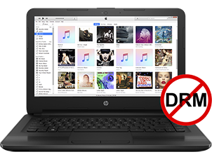 Rimozione di iTunes/Apple Music/Audible DRM