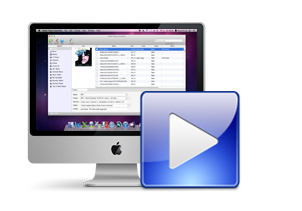 Customize iTunes Music Converter