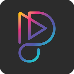 Pandora Music converter