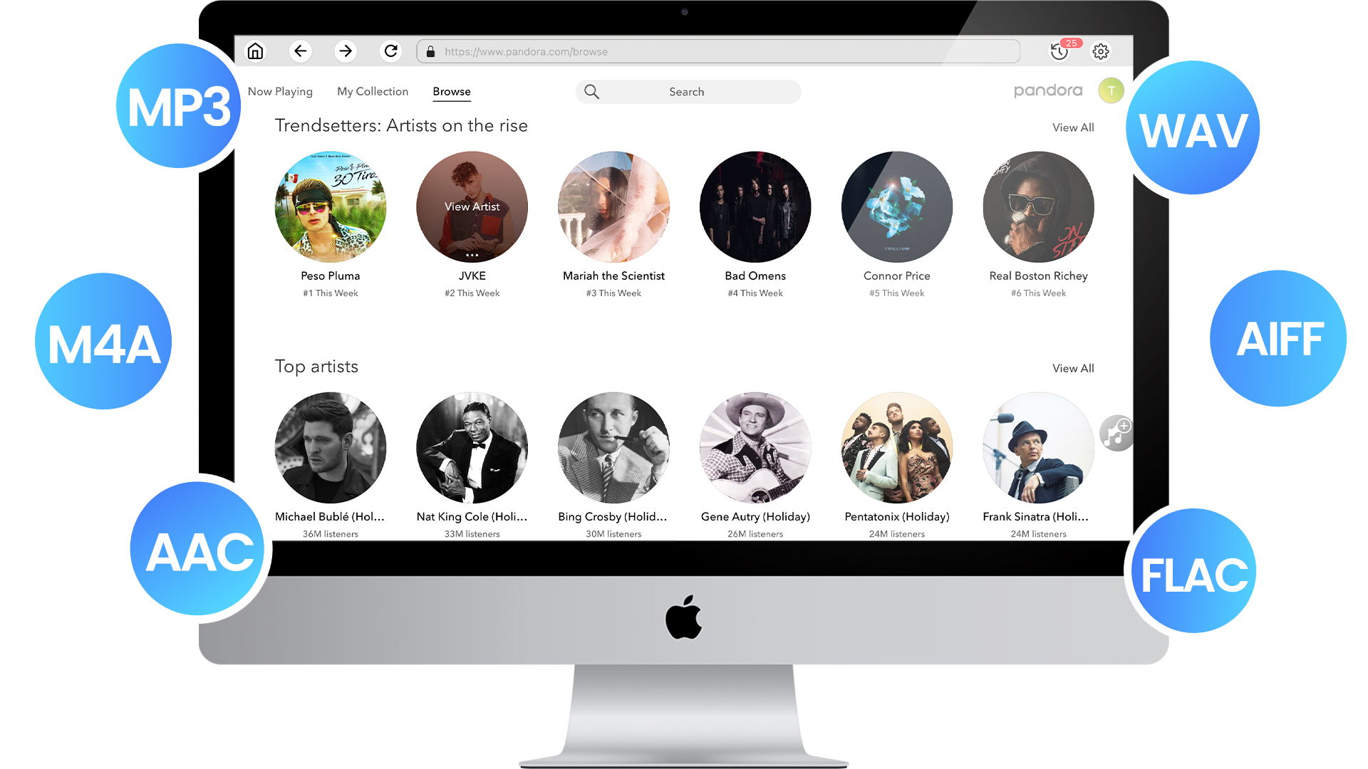 Pandora Music Converter