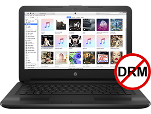 Remoção de DRM do iTunes/Apple Music/Audible DRM