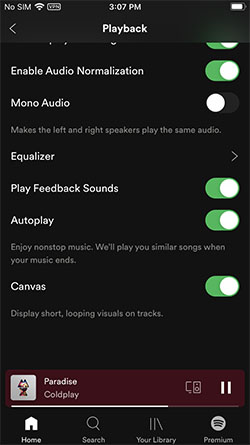 Spotify Autoplay