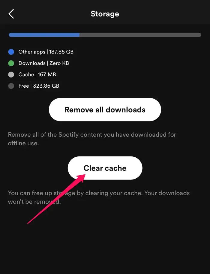 Spotify cache