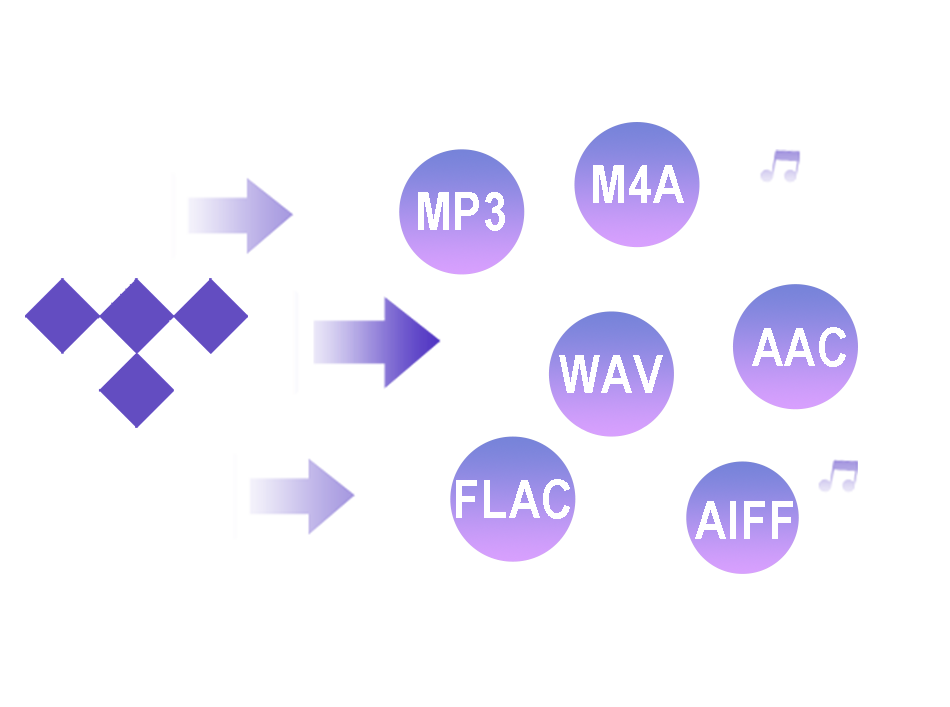 TIDAL Converter