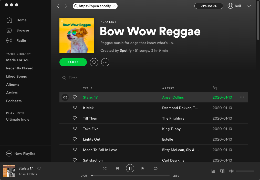 evcil hayvanlar için spotify